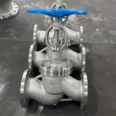 Qhov Rooj Valve Hlau Tsis Txhab Qauv American Xa Tau Mus Canada