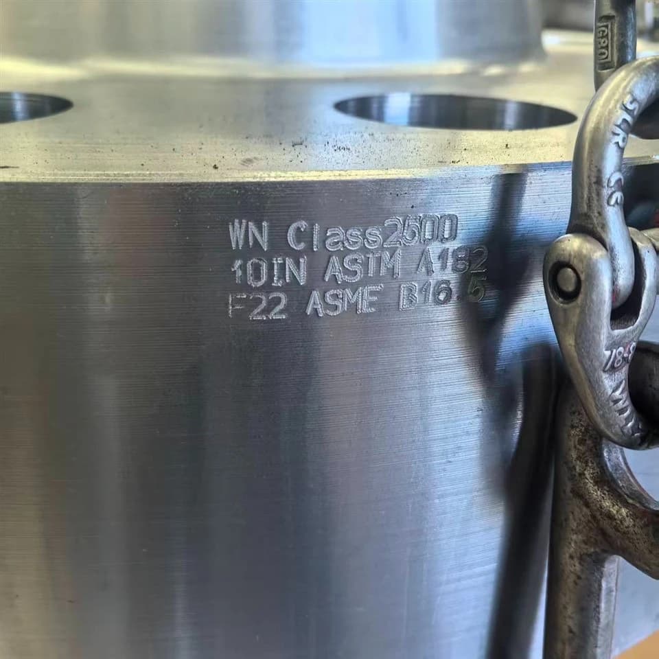 ASTM A182 F22 Alloy Steel Flanges 3